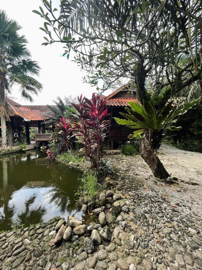 Sahom Valley Resort Jeram  Ngoại thất bức ảnh
