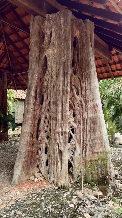 Sahom Valley Resort Jeram  Ngoại thất bức ảnh